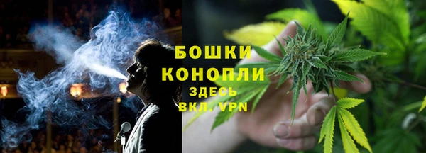 ешки Осинники