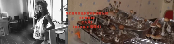 mix Нязепетровск
