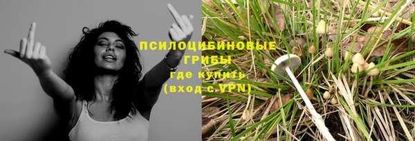 Альфа ПВП Осташков
