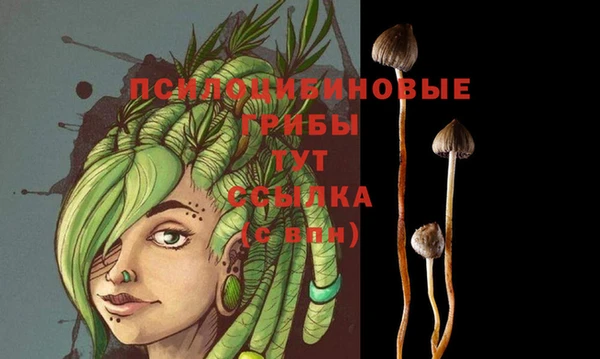 PSILOCYBIN Заволжск