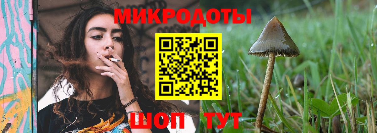 Галлюциногенные грибы Psilocybe Богородск