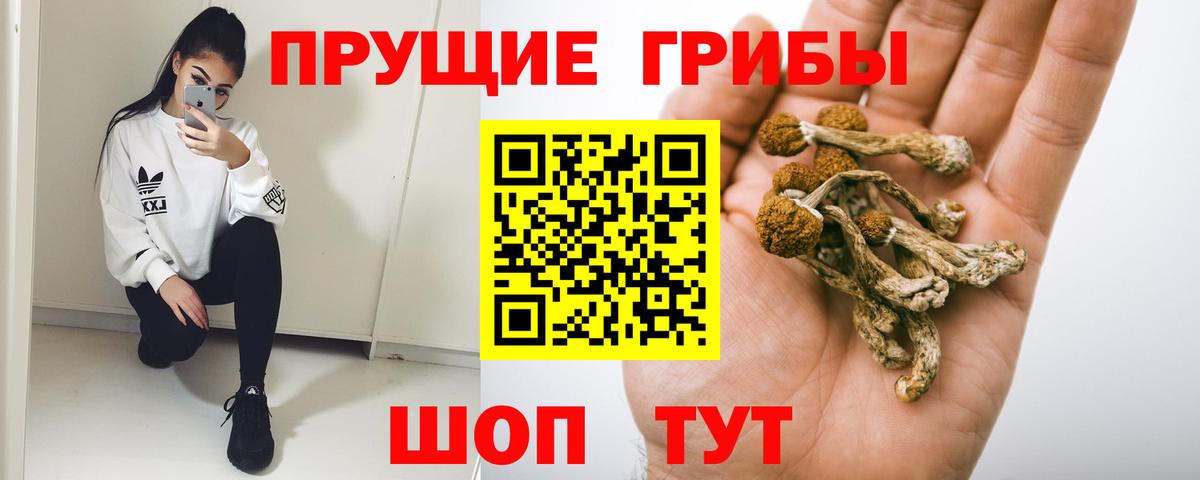 сколько стоит  Вход с VPN  Богородск  Галлюциногенные грибы прущие грибы  Псилоцибиновые грибы MAGIC MUSHROOMS 
